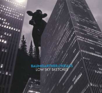 Album Pit Baumgartner: Low Sky Sketches