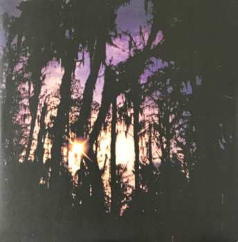 2LP Beach House: Bloom