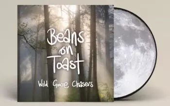 Wild Goose Chasers
