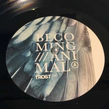 LP Massimo Pupillo: A Distant Hand Lifted