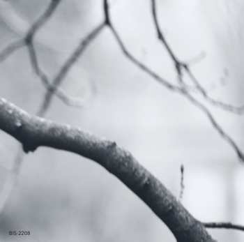 SACD Ludwig van Beethoven: Sonatas Op. 110 & Op. 111 / Bagatelles Op. 126