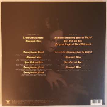 2LP Behemoth: And The Forests Dream Eternally LTD | CLR