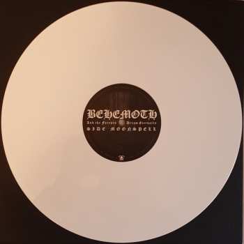 2LP Behemoth: And The Forests Dream Eternally LTD | CLR