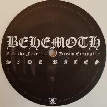 2LP Behemoth: And The Forests Dream Eternally LTD | CLR