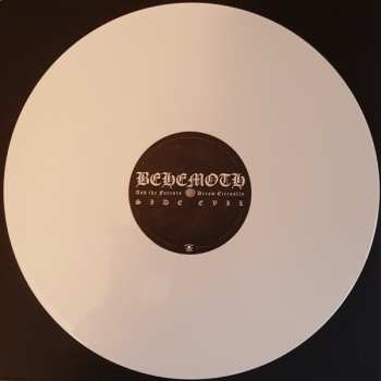 2LP Behemoth: And The Forests Dream Eternally LTD | CLR