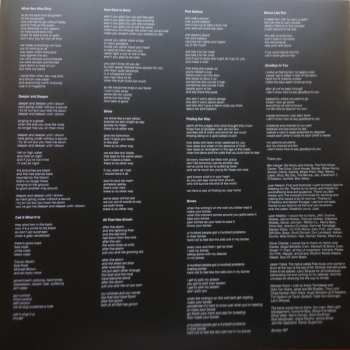 LP Ben Harper & The Innocent Criminals: Call It What It Is