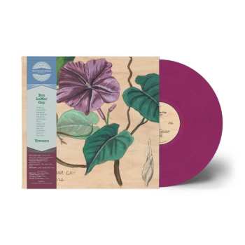 LP Ben LaMar Gay: Yowzers LTD | CLR