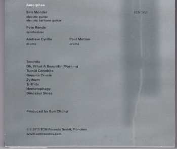 CD Ben Monder: Amorphae