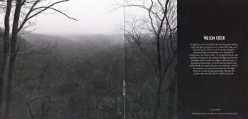 CD Daniel Martin Moore: Dear Companion