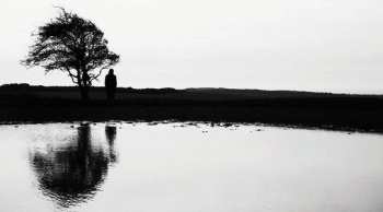 CD Ben Walker: Echo