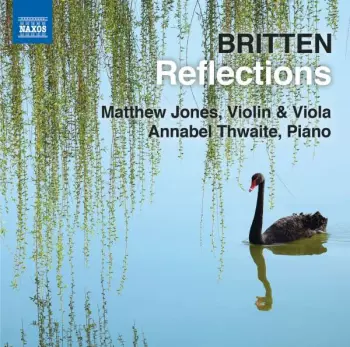Reflections