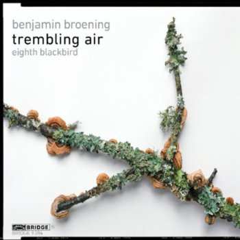 Album Eighth Blackbird: Trembling Air