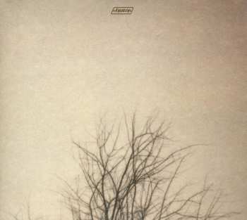 CD Benoit Pioulard: Lasted