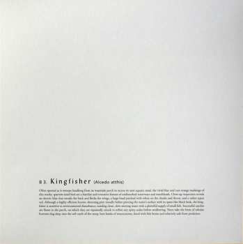 LP Bert Jansch: Avocet LTD