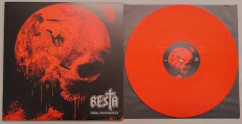 LP Besta: Terra Em Desapego CLR | LTD