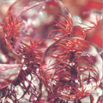 LP Beta Librae: Daystar