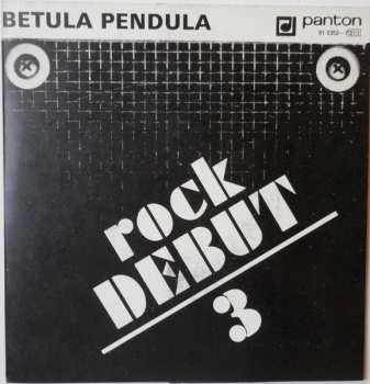 SP Betula Pendula: Rock Debut 3