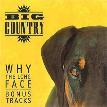4CD/Box Set Big Country: Why The Long Face DLX