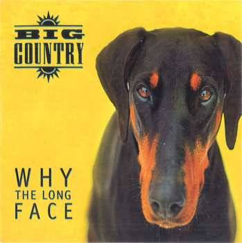 4CD/Box Set Big Country: Why The Long Face DLX