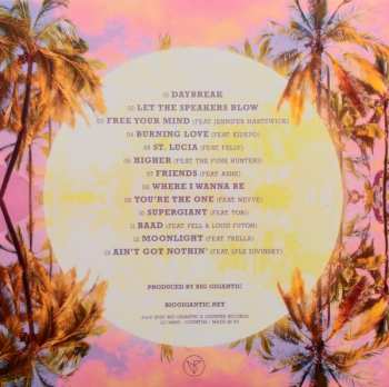 CD Big Gigantic: Free Your Mind