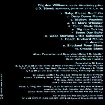 CD Big Joe Williams: Piney Woods Blues