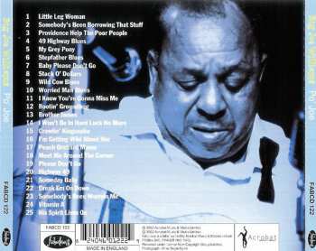CD Big Joe Williams: Po' Joe