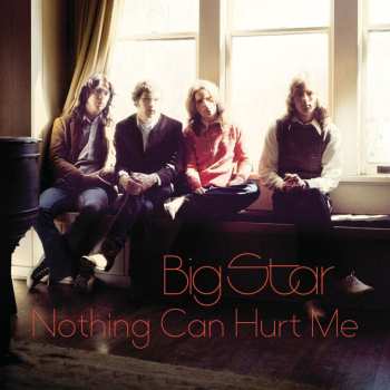 2LP Big Star: Nothing Can Hurt Me