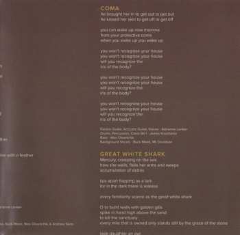 CD Big Thief: Capacity