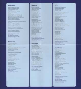 CD Bill Callahan: YTI⅃AƎЯ