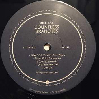 2LP Bill Fay: Countless Branches DLX | LTD