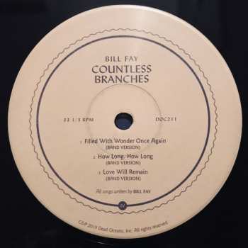 2LP Bill Fay: Countless Branches DLX | LTD