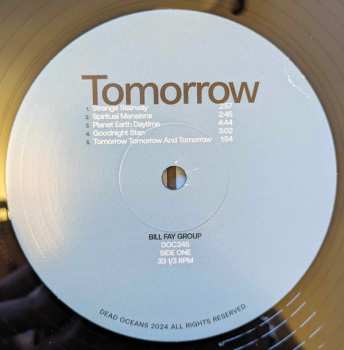 2LP Bill Fay Group: Tomorrow Tomorrow And Tomorrow LTD