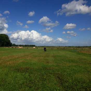 CD Biosphere: The Hilvarenbeek Recordings