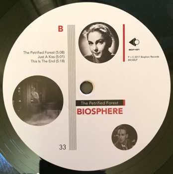 LP Biosphere: The Petrified Forest