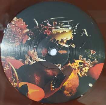 LP Birthmark: Birth of Omni CLR | LTD