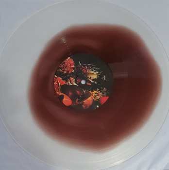 LP Birthmark: Birth of Omni CLR | LTD