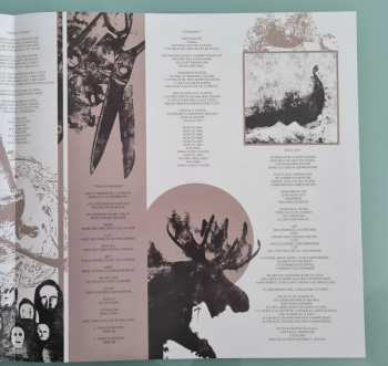 LP Bizarrekult: Vi Overlevde LTD | CLR