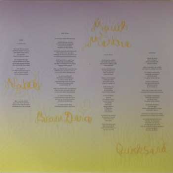 2LP Björk: Vulnicura DLX