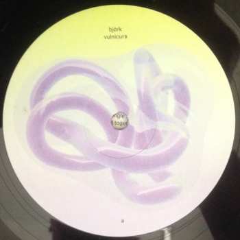 2LP Björk: Vulnicura DLX