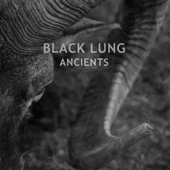 LP Black Lung: Ancients