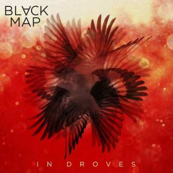 LP Black Map: In Droves CLR