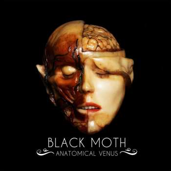 CD Black Moth: Anatomical Venus