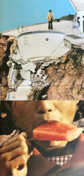2LP Black Moth Super Rainbow: Panic Blooms LTD | CLR