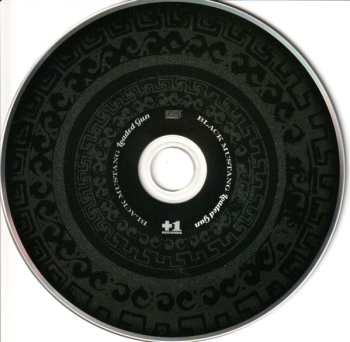 CD Black Mustang: Loaded Gun