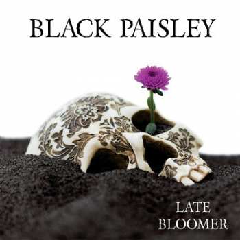 LP Black Paisley: Late Bloomer LTD