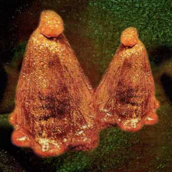 CD Black To Comm: Oocyte Oil & Stolen Androgens