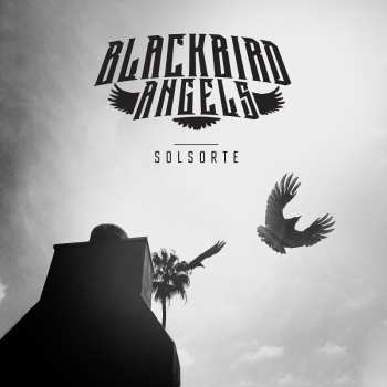 CD Blackbird Angels: Solsorte