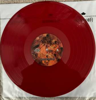 LP Blasted Pancreas: Carcinoma CLR | LTD