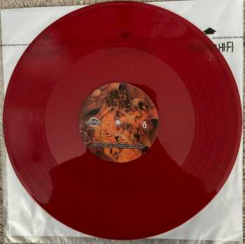 LP Blasted Pancreas: Carcinoma CLR | LTD