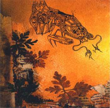 CD Blitzen Trapper: Wild Mountain Nation